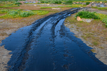 Muddy wet dirt road on the summer sub-arctic tundra with wildflowers blooming, Seal River area on Hudson Bay, Manitoba, Canada
