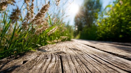 Wooden table in nature with a grassy background during a sunny day