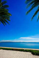 Miami Biscayne Bay seawall and palms