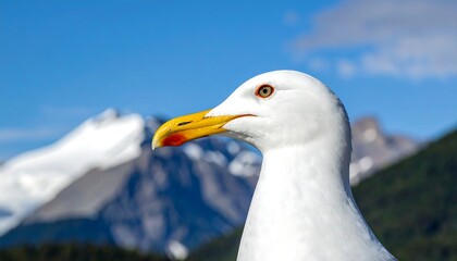 Obraz premium Close-up view of a white seagull's head, with vibrant yellow beak and a mountain backdrop, highlights the bird's profile and natural beauty against a clear sky.