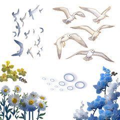 Marine Life Set, watercolor digital Clip Art, Ocean Elements, Backgrounds PNG, Digital Sea Animals, Coral, Reef, anemone fish