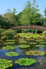 草津市立水生植物公園 © Yosukie's moments