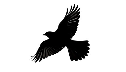 Obraz premium A striking silhouette of a bird in flight against a plain white background.