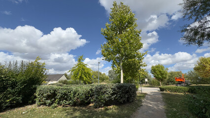 Park entrance with tall trees and a trimmed hedge under a cloudy sky