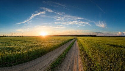 Fototapeta premium panorama of a field with a dirt road and a blue sky with the setting sun