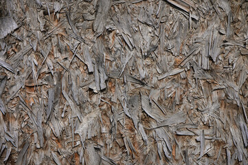 Weathered OSB board with sun-bleached texture