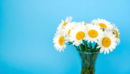 Bouquet of daisies in a vase against a bright blue backdrop