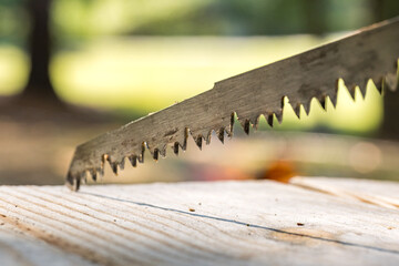 Rustic Saw Blade and Wood Surface