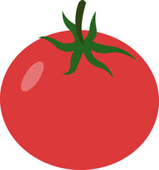 Fresh Red Tomato