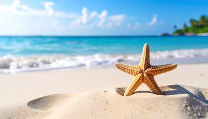 A star-shaped marine creature rests on sun-kissed white sand. Turquoise water meets the shore, creating a tranquil scene