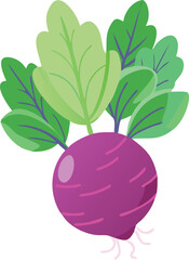 Flat icon of beetroot inside a circle made of hyacinth beans, soft pastel colors.