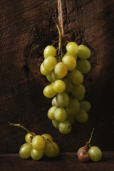 Hanging Grapes Still Life