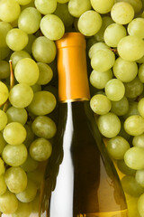 Closeup of a bottle of white wine surrounded by grapes.