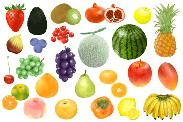 手描きフルーツセット