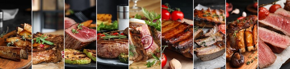 Tasty cooked meat dishes, collage of pictures. Banner design