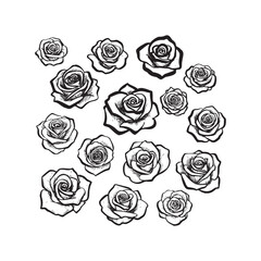A Beautiful Collection of Hand-Drawn Black and White Rose Outlines and Sketches