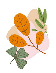 autumn leaves vector illustration