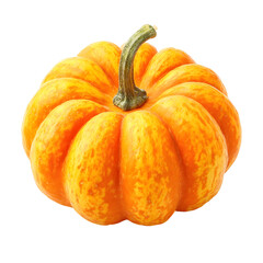 A Perfect Orange Pumpkin Ready for Fall Harvest