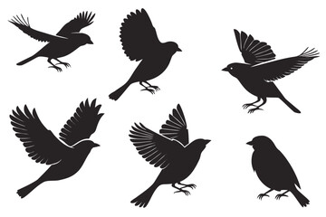 Obraz premium Six black bird silhouettes in various flying and perched poses vector