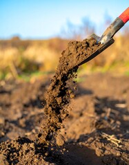Shovelful of dark soil being lifted