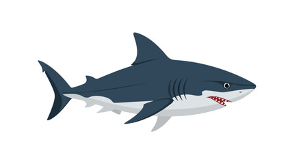 Obraz premium Illustrated ocean predator, the great white shark, swimming gracefully against a clean white backdrop revealing menacing teeth