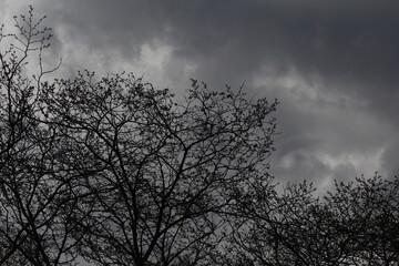 A beleza também está nos dias cinzas.
