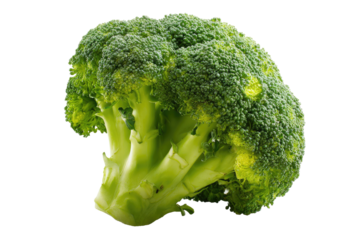 Close-up of a head of fresh broccoli, vibrant green, with distinct florets and stem
