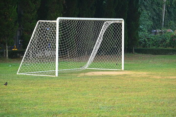 goal of football on green grass background, object of sport