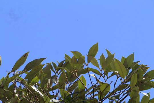 Sob os olhos de algu&eacute;m apaixonado pela natureza.