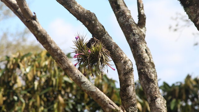 Sob os olhos de algu&eacute;m apaixonado pela natureza.