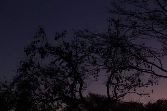 Sob os olhos de algu&eacute;m apaixonado pela natureza.