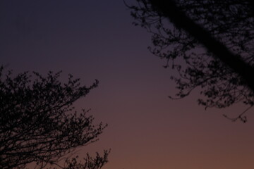 Sob os olhos de alguém apaixonado pela natureza.