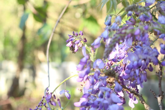 Sob os olhos de algu&eacute;m apaixonado pela natureza.