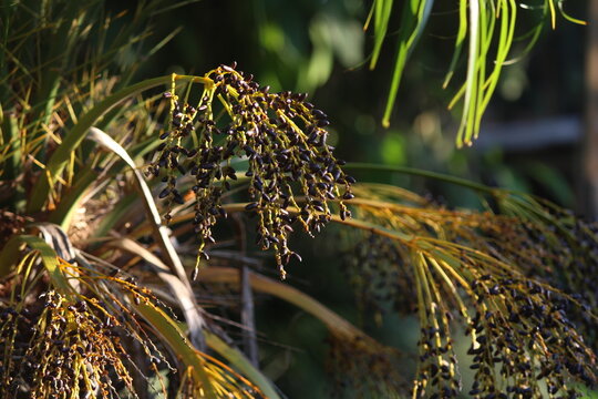 Sob os olhos de algu&eacute;m apaixonado pela natureza.