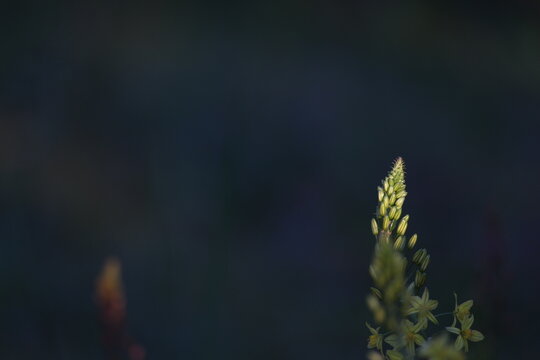 Sob os olhos de algu&eacute;m apaixonado pela natureza.