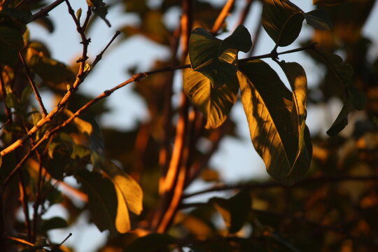 Sob os olhos de algu&eacute;m apaixonado pela natureza.