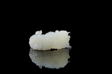 Fresh Sea Cucumber Seafood on Black Background with Reflection