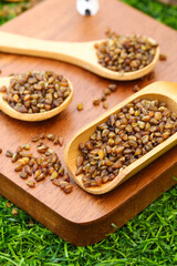 Buckwheat grains in wooden spoons healthy whole grain superfood on cutting board
