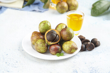 Fresh Camellia Tea Seeds with Oil for Agricultural Harvest Processing