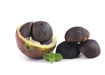 Camellia Tea Oil Seeds with Cracked Shell - Natural Organic Alpine Ingredient for Beauty and Cooking