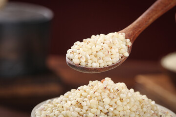Fresh White Sorghum Grains in Wooden Spoon - Healthy Gluten-Free Ancient Grain Cereal