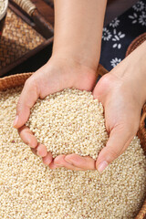 Fresh White Sorghum Grains in Cupped Hands Over Traditional Wicker Baskets - Organic Farm Harvest