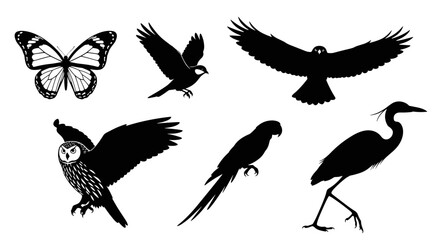 Obraz premium Silhouette vector art of birds butterfly owl parrot heron and other fauna