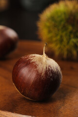 Fresh Chestnut with Shell on Wooden Table - Autumn Nut Harvest Food Photography