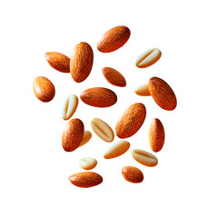 pieces of roasted pine nuts with light golden surface