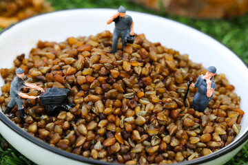 Tiny Workers Harvesting Mixed Grains - Creative Agriculture and Health Food Concept