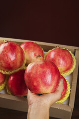 Hand Holding Fresh Red Pomegranate from Wooden Crate - Premium Organic Fruit with Soft Seeds