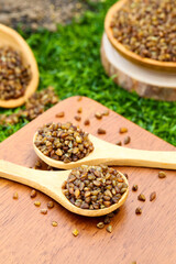 Variety of Healthy Whole Grains Black Rice Buckwheat Cereals in Wooden Bowls Natural Organic Food Ingredients