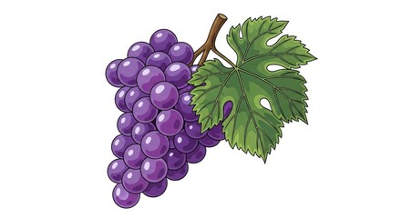 Obraz premium Vibrant illustration of a bunch of fresh purple grapes with a green leaf and stem, isolated on a white background. Perfect for healthy eating, fruit, or wine-related designs.