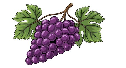A vibrant cartoon illustration of a bunch of purple grapes with green leaves and a stem, isolated on a white background. Perfect for food, drink, or health-related designs.